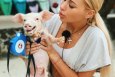 Анастасия Стецевят в Инстаграм: 2 собаки, кот, курица, свинья